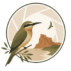 Vogels in Beeld Spanje – VBS